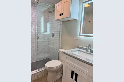 4730 W Grace Street #0, Chicago, IL 60641 - Photo 9