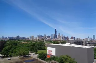 1550 S Blue Island Ave, Chicago, IL 60608 - Photo 9