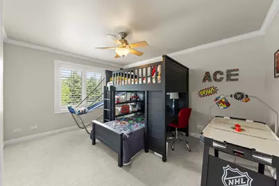 12814 Grande Pines Boulevard, Plainfield, IL 60585 - Photo 25