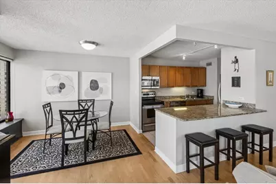30 E Huron Street #1307, Chicago, IL 60611 - Photo 11