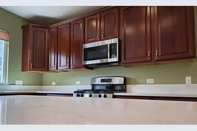 1575 McClellan Drive, Lindenhurst, IL 60046 - Photo 17