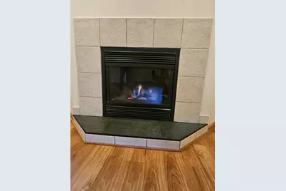 33616 N Evergreen Drive, Grayslake, IL 60030 - Photo 25