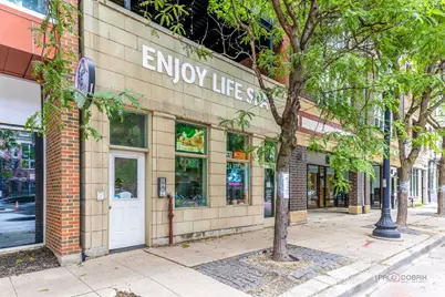 1720 W Belmont Avenue #2, Chicago, IL 60657 - Photo 3