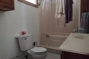 425 King Hill Ln, Vienna, IL 62995 - Photo 29