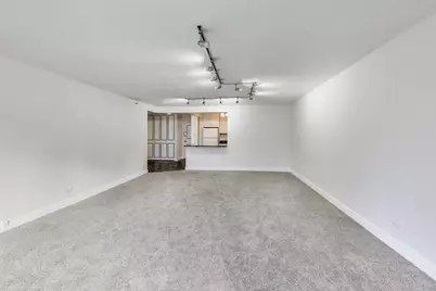 10 E Ontario Street #1303, Chicago, IL 60611 - Photo 9