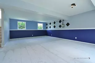 117 Carlisle Ct, Cary, IL 60013 - Photo 17