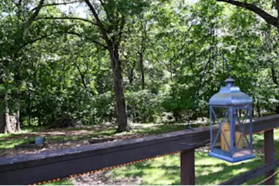 20107 Woodbury Hill, Danville, IL 61834 - Photo 21