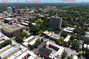 240 S Marion St, Oak Park, IL 60302 - Photo 35