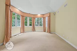 426 W Haley's Hill Ct, Palatine, IL 60067 - Photo 31