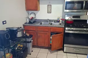 4419 S Princeton St, Chicago, IL 60609 - Photo 19