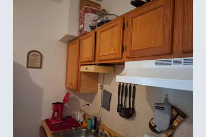 4419 S Princeton Street, Chicago, IL 60609 - Photo 11