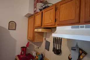 4419 S Princeton St, Chicago, IL 60609 - Photo 11
