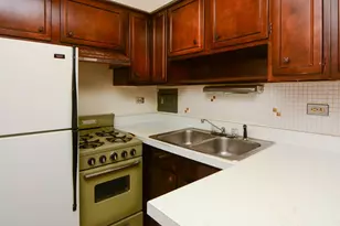 2629 N Hampden Ct, Chicago, IL 60614 - Photo 5
