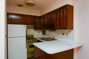 2629 N Hampden Ct, Chicago, IL 60614 - Photo 3