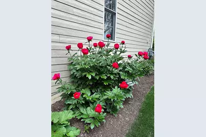 823 Columbia Circle, North Aurora, IL 60542 - Photo 7