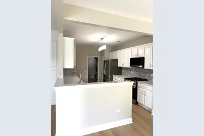 13053 Dearborn Trail, Huntley, IL 60142 - Photo 9