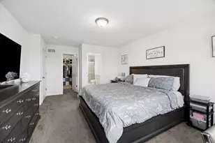 14042 S Belmont Dr, Homer Glen, IL 60491 - Photo 13