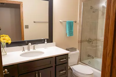 17245 Grange Drive, Orland Park, IL 60467 - Photo 21