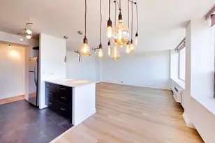 1355 N Sandburg Terrace, Chicago, IL 60610 - Photo 7