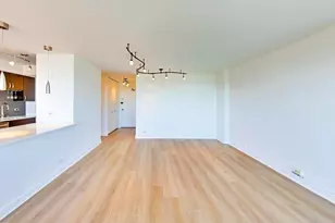 1355 N Sandburg Terrace, Chicago, IL 60610 - Photo 5