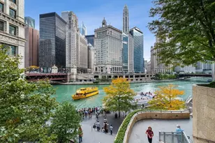 403 N Wabash Ave, Chicago, IL 60611 - Photo 21