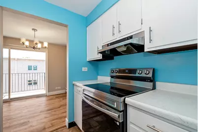 4113 W 97th Place #303, Oak Lawn, IL 60453 - Photo 9