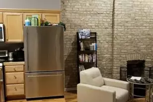 533 N Ashland Ave, Chicago, IL 60622 - Photo 3