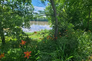 9830 Yorktown Rd, Lyndon, IL 61261 - Photo 33