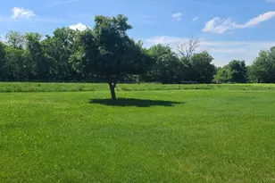9830 Yorktown Rd, Lyndon, IL 61261 - Photo 35