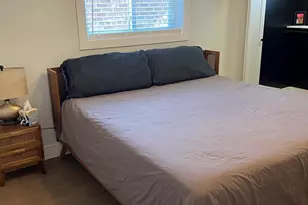 8739 S Bennett Ave, Chicago, IL 60617 - Photo 9