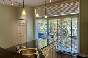 310 N Clinton St, Chicago, IL 60661 - Photo 7