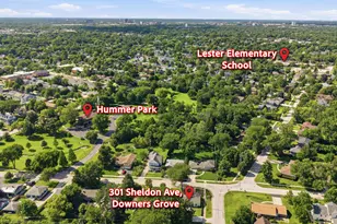301 Sheldon Ave, Downers Grove, IL 60515 - Photo 19