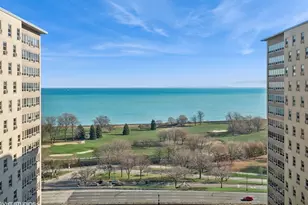 3950 N Lake Shore Dr, Chicago, IL 60613 - Photo 11