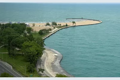 1440 N Lake Shore Drive #23A, Chicago, IL 60610 - Photo 5