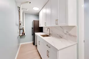232 W Scott St, Chicago, IL 60610 - Photo 29