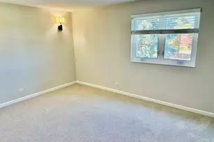 13000 Heiden Circle, Lake Bluff, IL 60044 - Photo 13