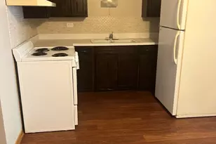 11945 S Hamlin Ave, Alsip, IL 60803 - Photo 3