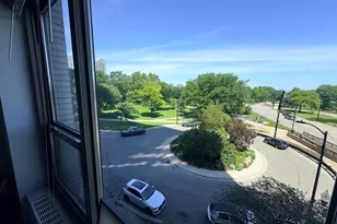1550 N Lake Shore Dr, Chicago, IL 60610 - Photo 3