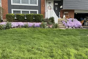 3136 Everglade Ave, Woodridge, IL 60517 - Photo 3