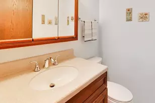 125 Lynnfield Ln, Schaumburg, IL 60193 - Photo 19