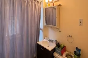 8410 S Burnham Ave, Chicago, IL 60617 - Photo 11