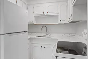 727 S Maple Ave, Oak Park, IL 60304 - Photo 7