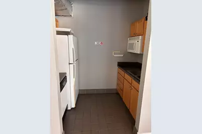 1212 N Wells Street #1506, Chicago, IL 60610 - Photo 17