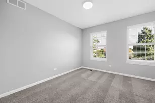 244 Buckingham Dr, Grayslake, IL 60030 - Photo 19