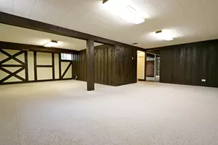 8808 S Pleasant Ave, Hickory Hills, IL 60457 - Photo 19