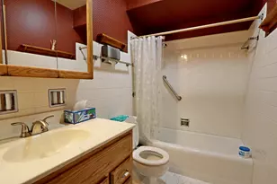 8808 S Pleasant Ave, Hickory Hills, IL 60457 - Photo 15