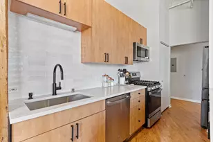 520 W Huron St, Chicago, IL 60654 - Photo 11