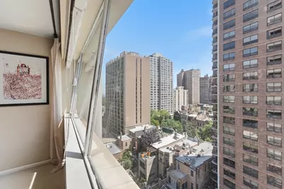 1415 N Dearborn Street #14C, Chicago, IL 60610 - Photo 19