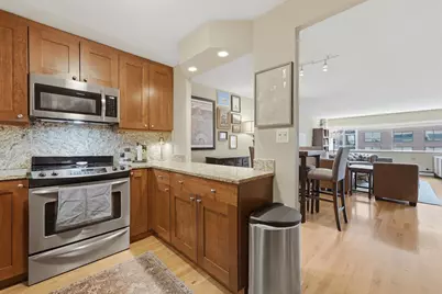 1415 N Dearborn Street #14C, Chicago, IL 60610 - Photo 7