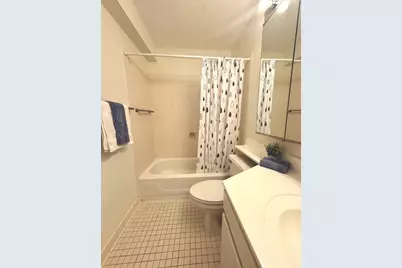 440 N Wabash Avenue #1008, Chicago, IL 60611 - Photo 11